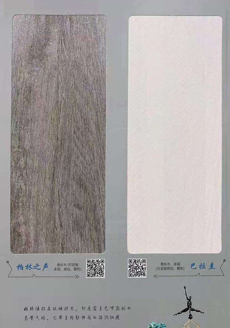 柏林之聲+巴拉圭